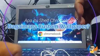 Apa itu Shelf dan Bagaimana Cara Mengganti Wallpaper di Chromebook ?