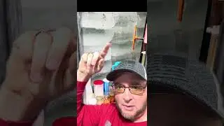 Amish ICE Harvesting Season is here