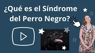 ¿QUÉ ES EL SÍNDROME DEL PERRO NEGRO?