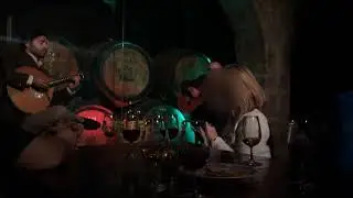 Porto: C&aacute;lem Cellar Tour, Fado Show & Wine Tasting
