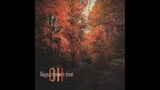 Magical moment in forest &ndash; OH Overhead