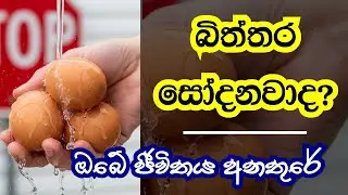 බිත්තර සේදීම ජීවිතය අවදානමේ දමයිද? / ඔබ දැනගත යුතුම කරුණු! / Does Washing Eggs Endanger Your Life?