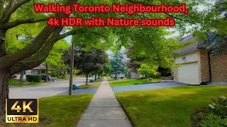 Toronto Neighbourhood Walk | Relaxing 4K HDR Nature Sounds for Sleep, Study & Stress Relief