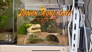 Nano Shrimp Tank Aquascape 