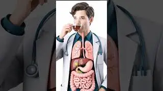 nside Your Gut: 3D Animation of Drinking Black Tea & Parasite Worms