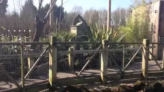 Lorikeet Lagoon