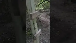 platform.mp4