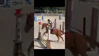 I had uneven reins 😞 I have to fix my hole eq bro 😖