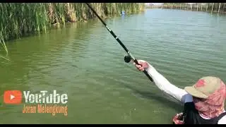 Masih di Spot mancing DEMAK di belakang pasar sayung