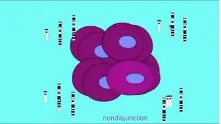 SEX CHROMOSOME MOSAICS