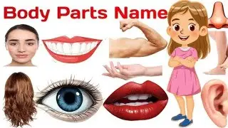 parts of the body _learn body parts _learn english _kids learning@SuccessChuttiKids 