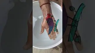 Bird 🐦 drawing On ✋ hand on water 💦 by flloting pen #art #viral #shorts #youtubeshorts