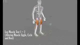 Maya Muscle 1.  Leg Muscles early tests
