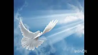 Los Cinco Minutos del Espíritu Santo 🕊  4 de febrero ✍️ por Monseñor Víctor Manuel Fernández 🌱 