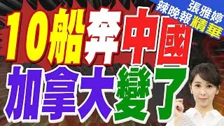 中國已下單10船加拿大油菜籽 合計約65萬噸｜10船奔中國 加拿大態度變了｜蔡正元.栗正傑.謝寒冰深度剖析?【張雅婷辣晚報】精華版 @中天新聞CtiNews