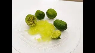 Microcitrus papuana