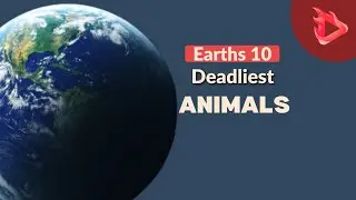 Earths 10 Deadliest Animals