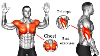 Best Push-ups Chest and Triceps Workout Home 