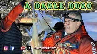 SE ANIMA ENERO , jornada corta pero entretenida , #eging #viral #squid #fishing #viralvideo