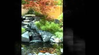 Large Yard Landscaping Ideas and Design
