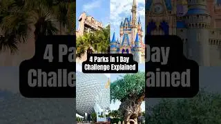Хотите пройти челлендж &laquo;4 парка за 1 день&raquo;? Вот ваш план действий #disneytipsandtricks #disneycha...