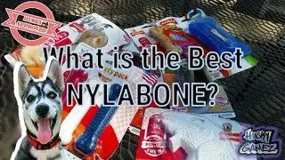 What is The Best NYLABONE? | Best for chewers- Husky Tested