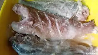 Tava Fish Recipe || By Ansari Food 