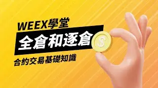 WEEX學堂 : 全倉和逐倉合約的區別，WEEX讓交易安全簡單又輕鬆，加密貨幣合約交易就上WEEX唯客!