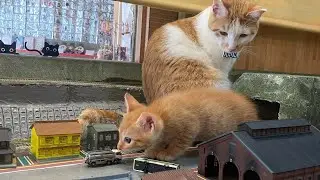 貴方はこの長い乗車に耐えれるか⁉️