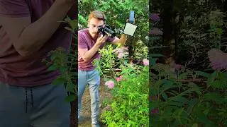 The World Of Macro Photography! #macrophotography