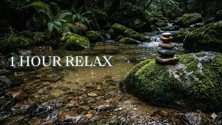 1 Hour Deep Sleep Piano 🌙 Gentle Rain & Stream | Calm Music for Relax & Sleep