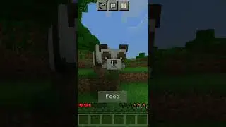Rare panda 😍😍🤩 #minecraft