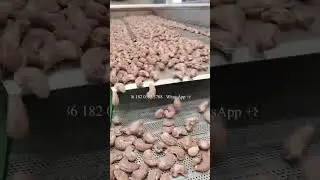 Roasting Cashew Nuts Recipe How to Make Roasted Cashews / Salted Roasted Almonds Peanuts Pistachio