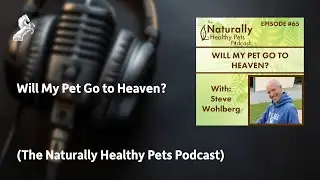 Will My Pet Go To Heaven? (The Naturally Healthy Pets Podcast)