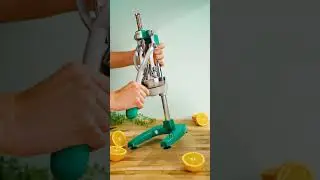 Fresh Squeezed OJ