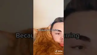 Coot got that asthma ✨ #cat #cats #catsoftiktok #cute #cuteanimals #funny #viral #fyp #animals