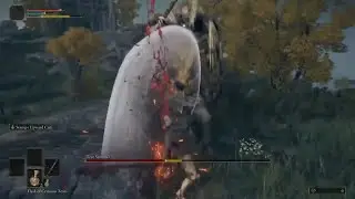 Elden Ring | I Killed The Tree Sentinel At Lv 5 | It was Only my 59th Attempt