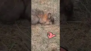 Never stop digging