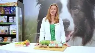 One Way to Prevent Digestion Issues in Pets