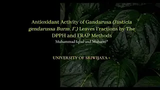 Antioxidant Activity of Gandarusa Leaves Fractions by The DPPH and FRAP