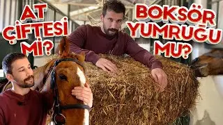 1 GÜNLÜĞÜNE AT BAKICISI OLDUM! | Huysuz Balkaymak! | Adem Kılıççı