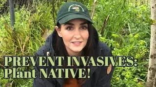PREVENT INVASIVES: Plant NATIVE! 🌿