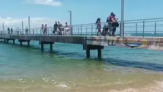 Passeio de Barco em Camamú Ba.