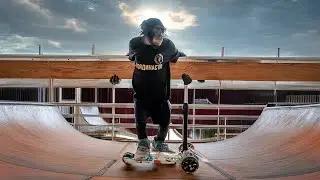 Уникальный Талант! Шимпанзе Гоняет На Самокате Круче Любого Человека