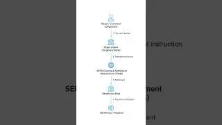 SEPA Payment Network #sepa #sepanetwork #paymentsystem #paymentprocessing #businessanalyst #payments