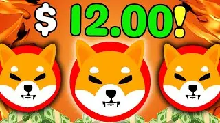 SHIBA INU PRICE LEAKED BY A MASSIVE 3-YEAR SHIB DISCOVERY! ($12.00!) SHIBA INU COIN NEWS PREDICTION