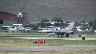 Sentry Eagle