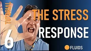 The Perioperative Stress Response