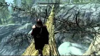 Skyrim - Fallen Tree Bridge