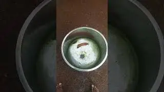 fish tankil och #shorts #fishtank #cleaning